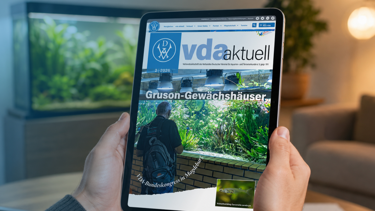 Die Ausgabe 2/2026 von VDA aktuell auf einem Tablet
